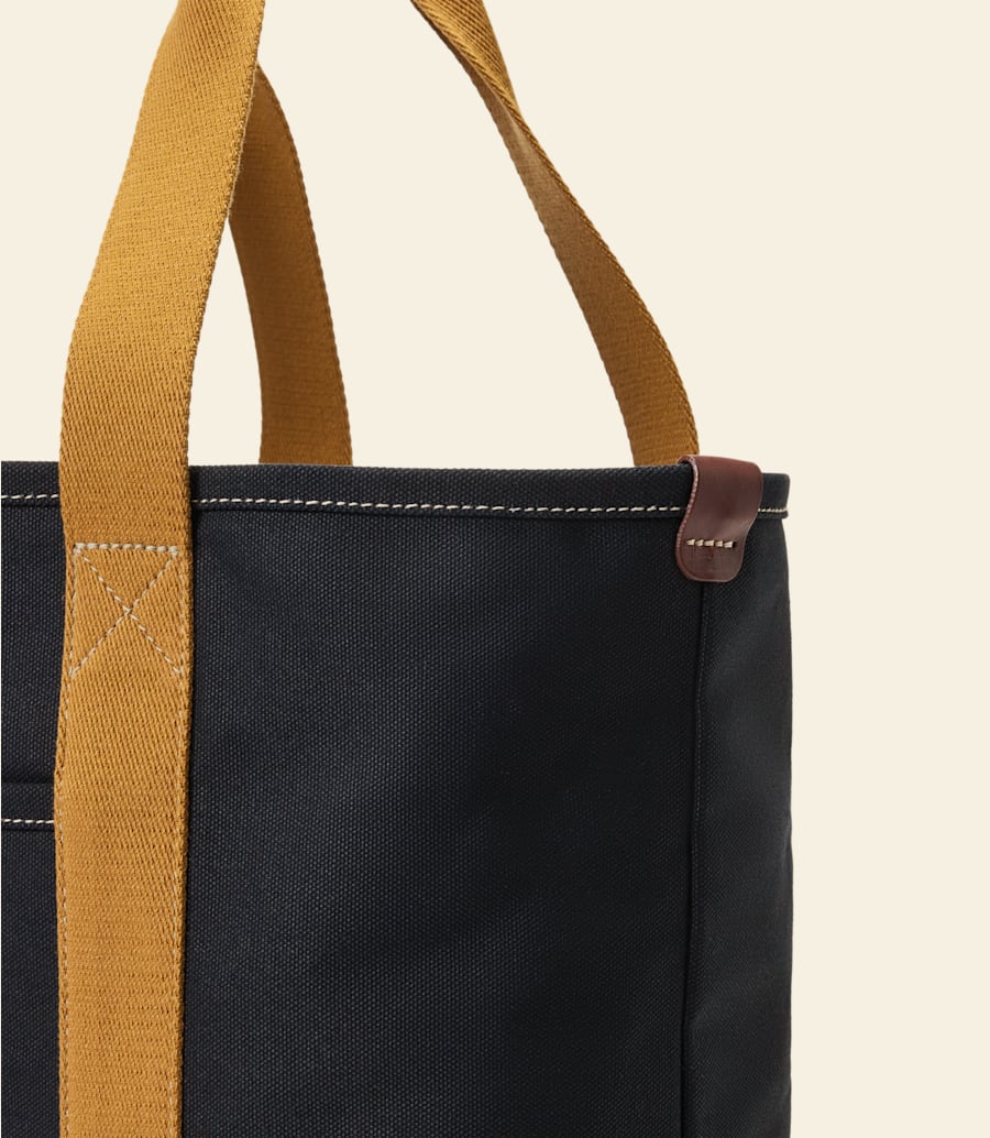 borsa tasman
