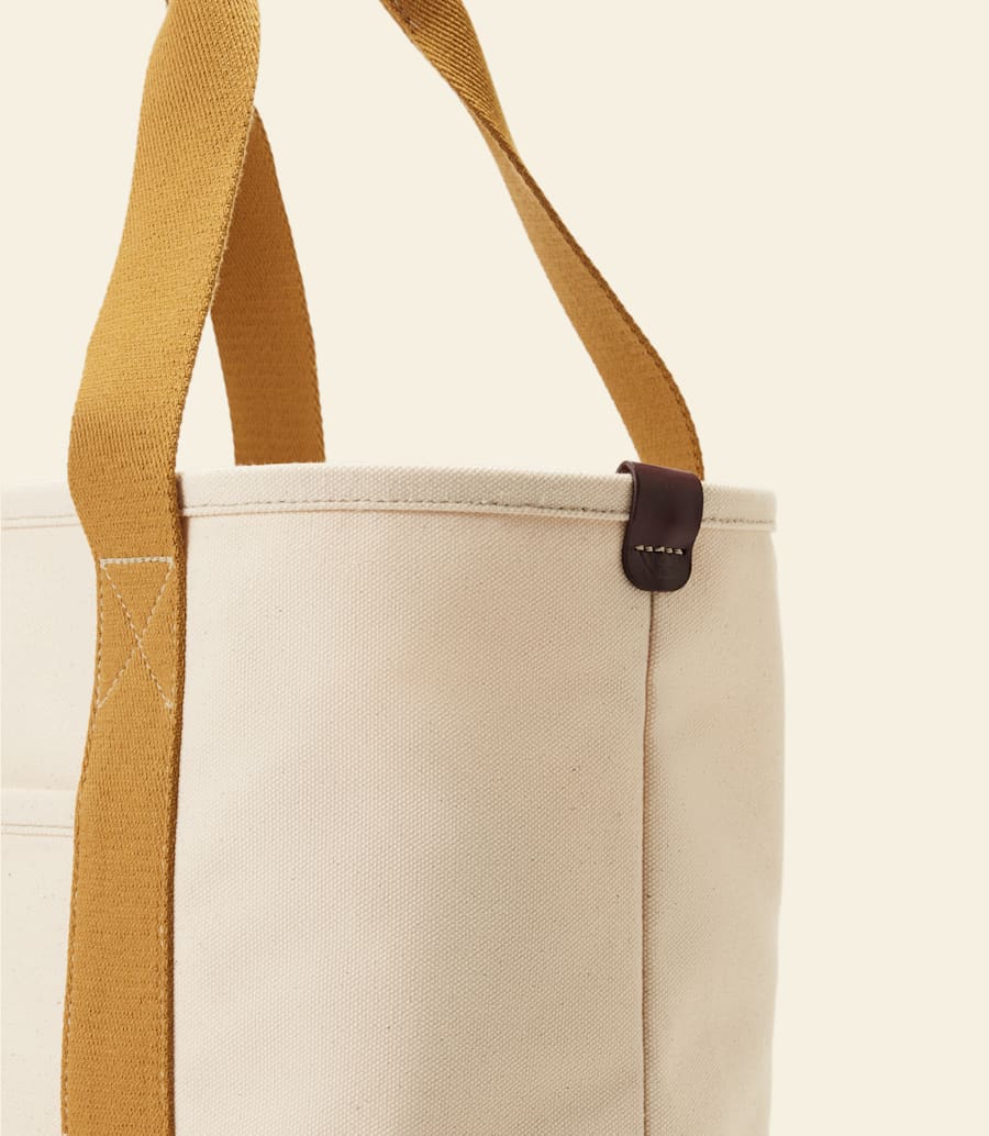 borsa tasman